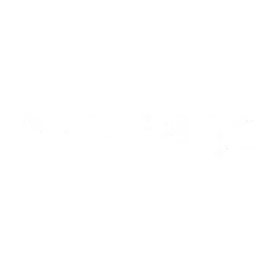 Eversage logo