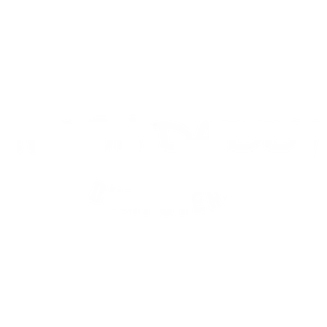 Trash Daddy Dumpsters logo
