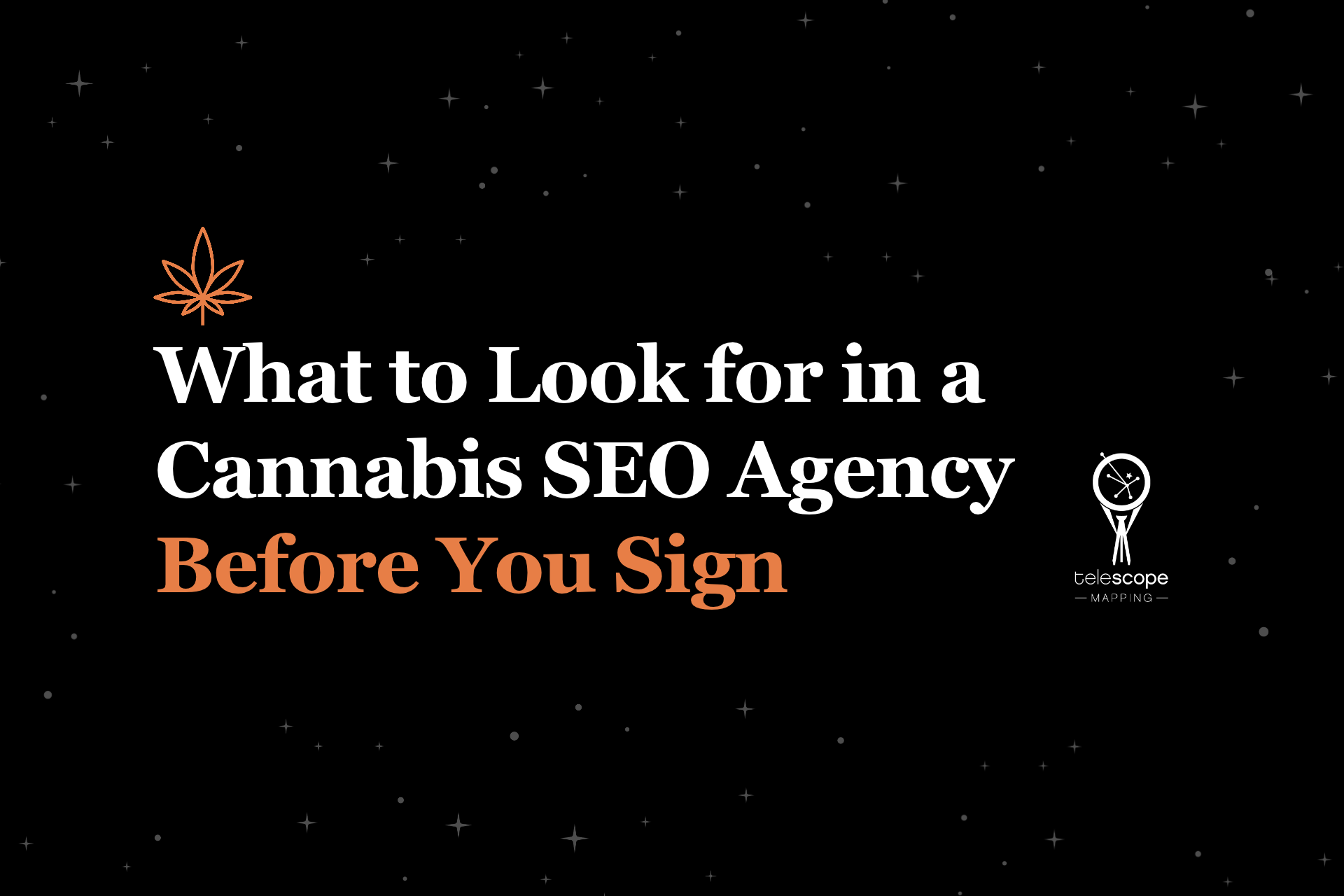 What to Look for in a Cannabis SEO Agency Before You Sign